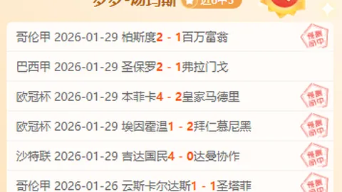 《邮报》曝：受国际赛事影响，纽卡计划赛季末举办英联杯夺冠庆典游行